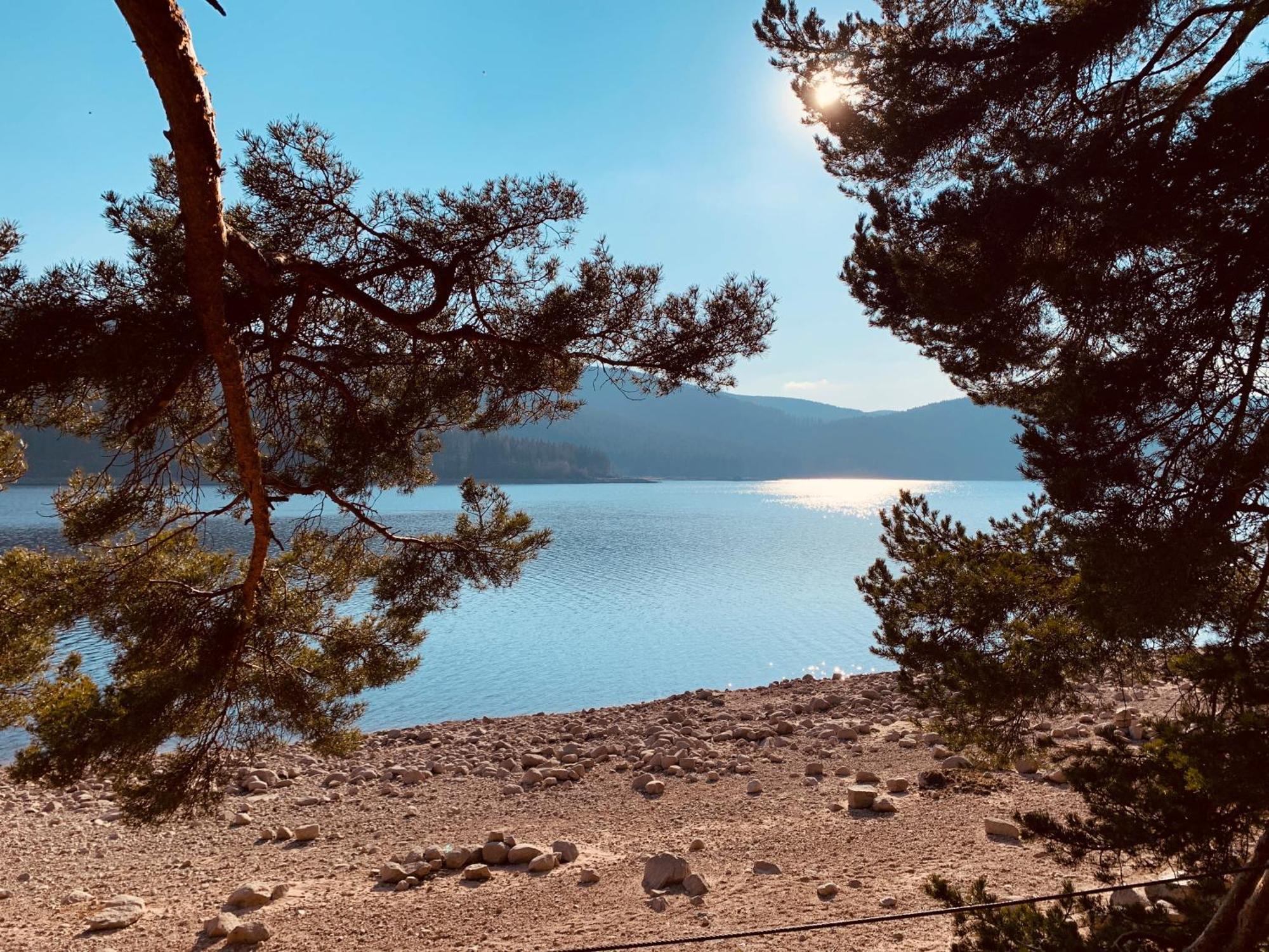 Kurhotel Schluchsee Apartment 2411 Екстериор снимка